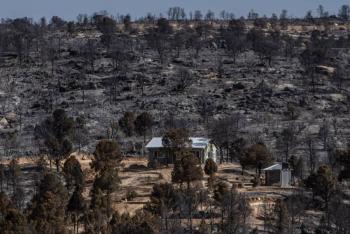 Incendio forestal en Arivechi alcanza 55% de control y afecta m&aacute;s de 1,500 hect&aacute;reas