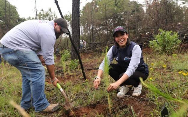 SEDEA inicia en Amealco temporada estatal de reforestaci&oacute;n