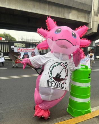 Ajolote buscador alza la voz por m&aacute;s de 133 mil desaparecidos en M&eacute;xico