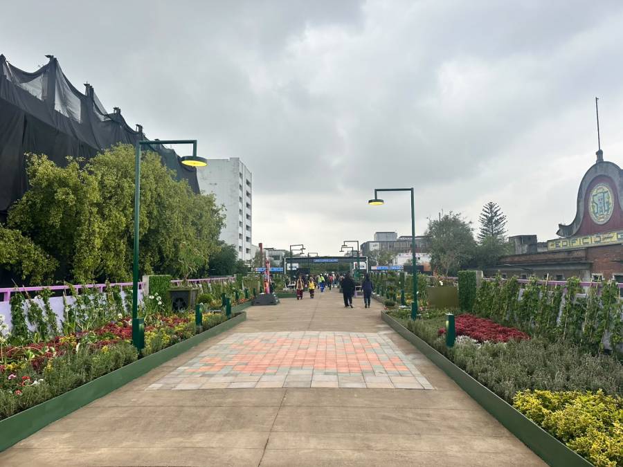 Nuevo jard&iacute;n flotante sobre Calzada de Tlalpan ampl&iacute;a la movilidad peatonal en la capital