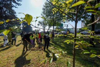 M&aacute;s de 50 mil personas se suman a jornada hist&oacute;rica de limpieza en Ecatepec