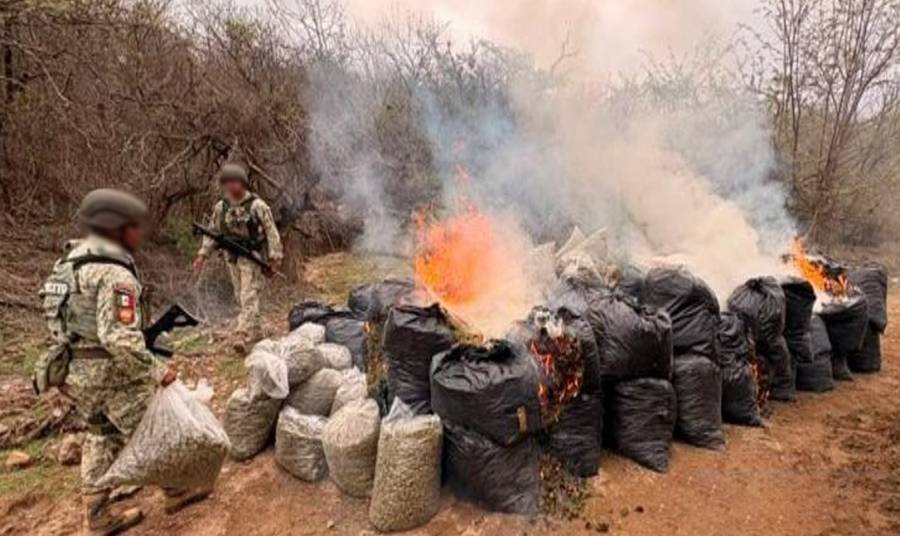 Operativos federales dejan detenciones y decomisos en 13 estados de México    