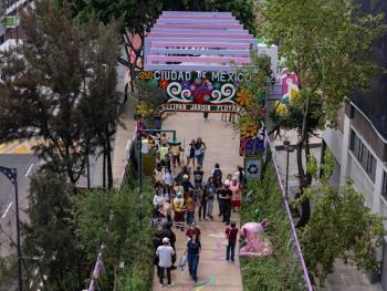 Especialistas alertan por posible deterioro del Jard&iacute;n Flotante y &aacute;reas verdes mundialistas