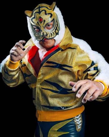 EL ADIOS DE TIGER MASK