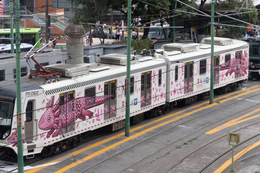 Tren Ligero restablece operaciones en toda su ruta tras solucionar falla el&eacute;ctrica