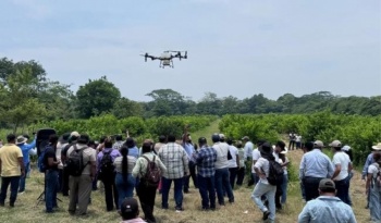 Encuentro de productores impulsa innovaci&oacute;n tecnol&oacute;gica para el lim&oacute;n persa en Tabasco