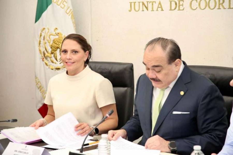 Senado ratifica a Jennifer Krystel Castillo Madrid como nueva administradora de Grandes Contribuyentes del SAT