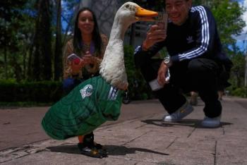 Merl&iacute;n, el pato mundialista augura triunfo de M&eacute;xico ante Corea del Sur