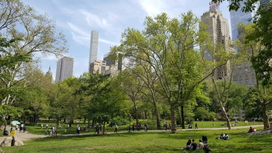Suspenden recorridos en carruajes de Central Park tras accidente fatal que reaviva el debate sobre su continuidad