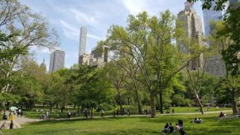 Suspenden recorridos en carruajes de Central Park tras accidente fatal que reaviva el debate sobre su continuidad