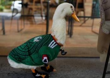 FIFA nombra al pato Merl&iacute;n embajador del Mundial 2026 en CDMX