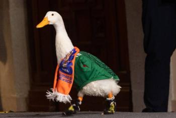 Controversia por registro de marca del pato Merl&iacute;n en el IMPI
