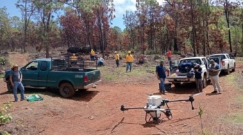 Dispersan 12 mil semillas con drones en P&aacute;tzcuaro para restaurar el Estribo Grande