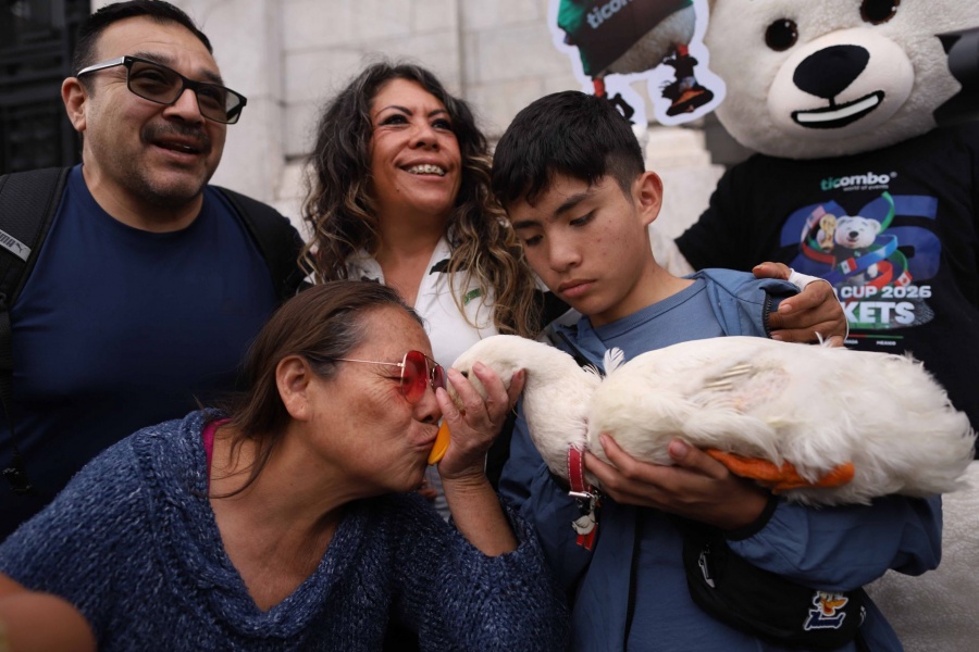 Pato Merlín: experto de la UNAM advierte riesgos de usar ropa y comer tacos de carnitas