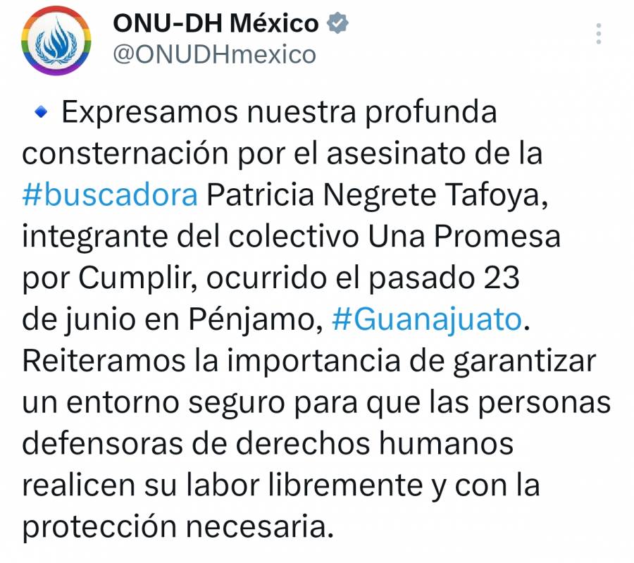 ONU-DH condena asesinato de buscadora Patricia Negrete y exige investigación con perspectiva de género