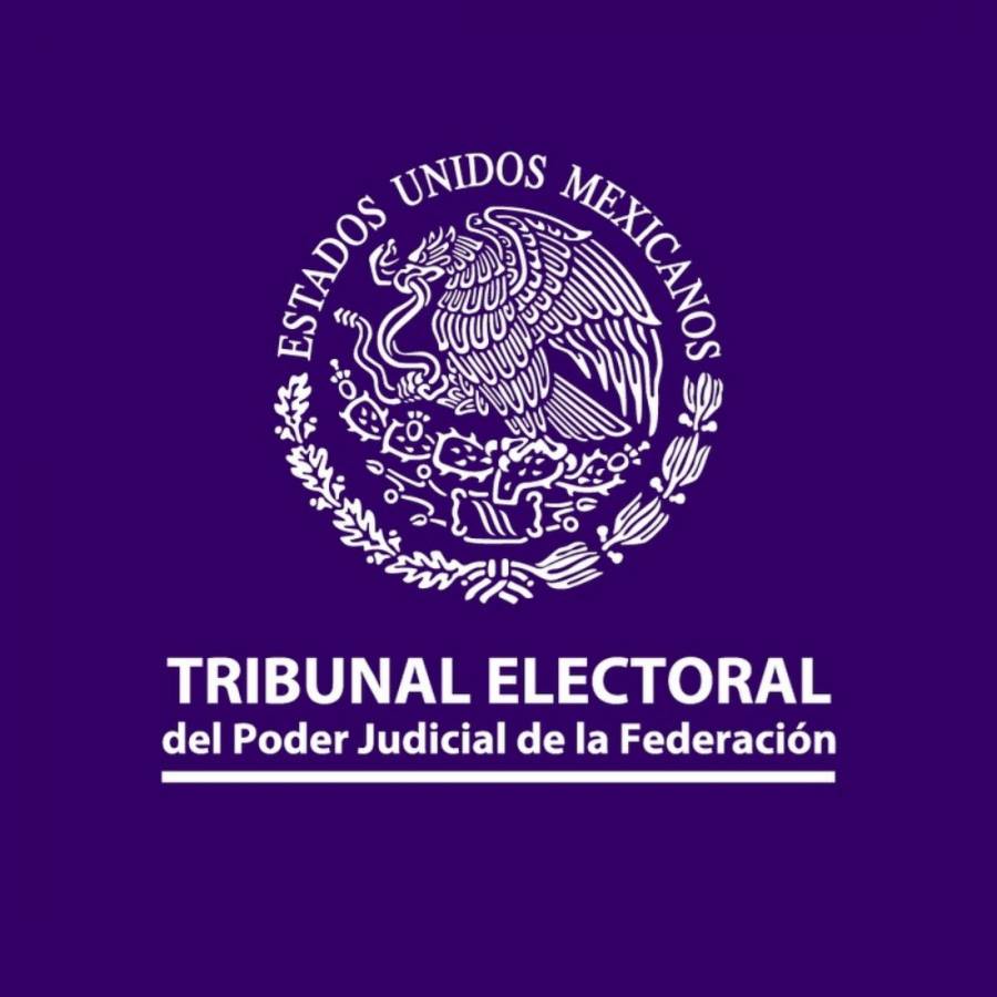 TEPJF difunde informe semanal sobre resoluciones en materia de medidas cautelares