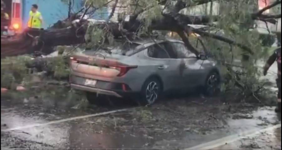 Fuertes lluvias en Puebla dejan un muerto y negocios inundados