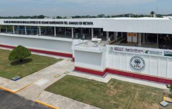 Sheinbaum inaugura planta binacional contra el gusano barrenador