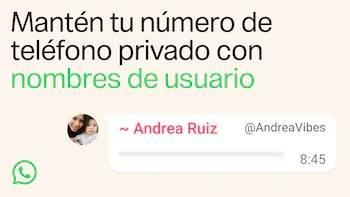 WhatsApp permitir&aacute; usar nombres de usuario en lugar de n&uacute;meros de tel&eacute;fono