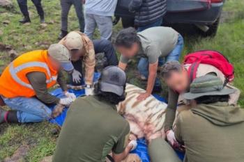 Muere Kenzo tras ser localizado en operativo de rescate en Tepetlaoxtoc