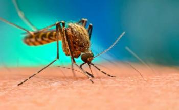 Jalisco confirma caso importado de malaria