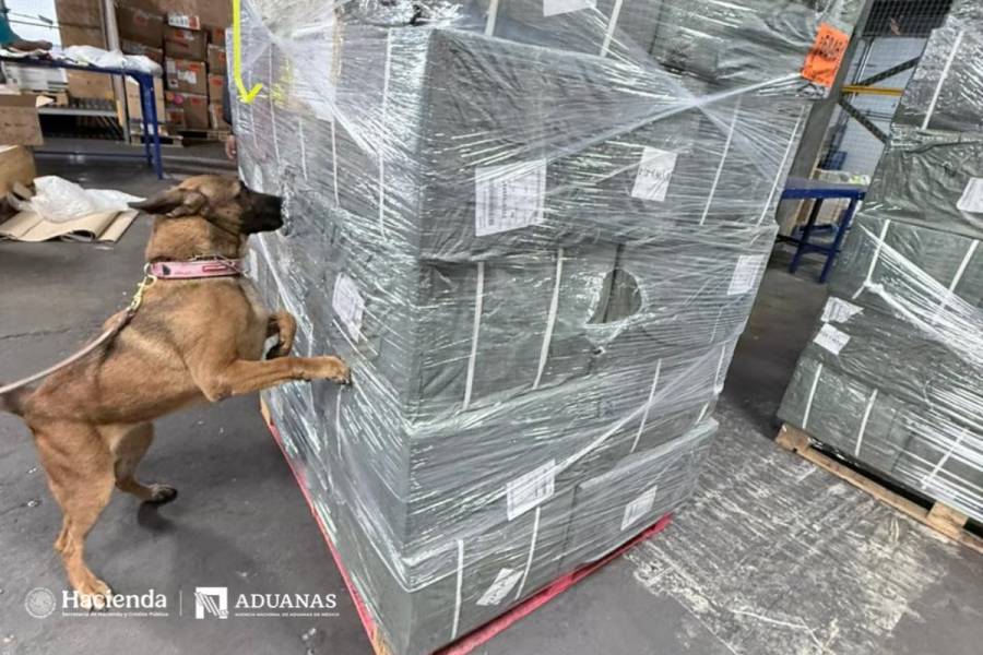 ANAM y Sedena aseguran 84 mil cigarrillos presuntamente falsos en el AIFA