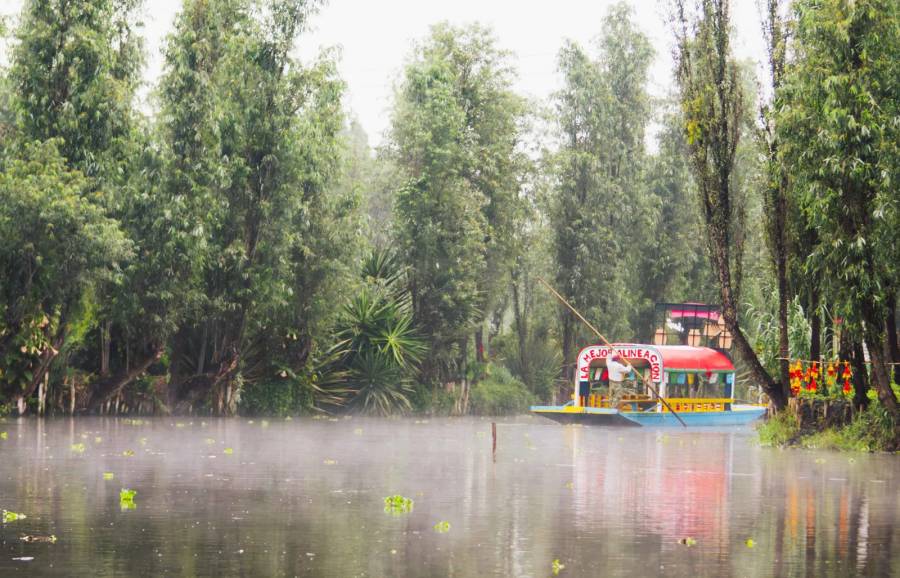 Celebrar también significa cuidar: una iniciativa fortalece a Xochimilco