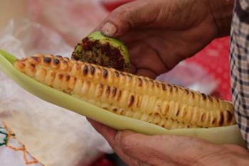 Tl&aacute;huac alista la Feria del Elote y la Tortilla 2026 con gastronom&iacute;a, cultura y tradici&oacute;n