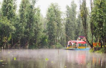 Celebrar tambieacuten significa cuidar una iniciativa fortalece a Xochimilco