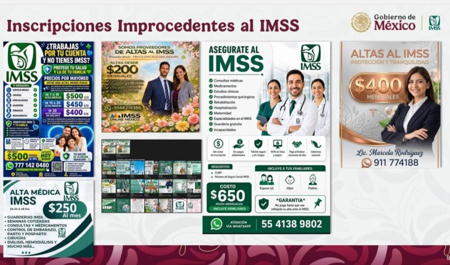 IMSS lanzará campaña para alertar sobre fraudes en falsas afiliaciones