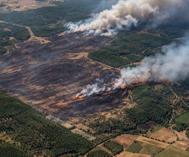 Imágenes satelitales revelan devastación de incendios forestales en Europa tras ola de calor