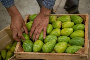 La Feria Internacional de la Tuna alista tres d&iacute;as de gastronom&iacute;a, cultura y tradici&oacute;n en Edomex