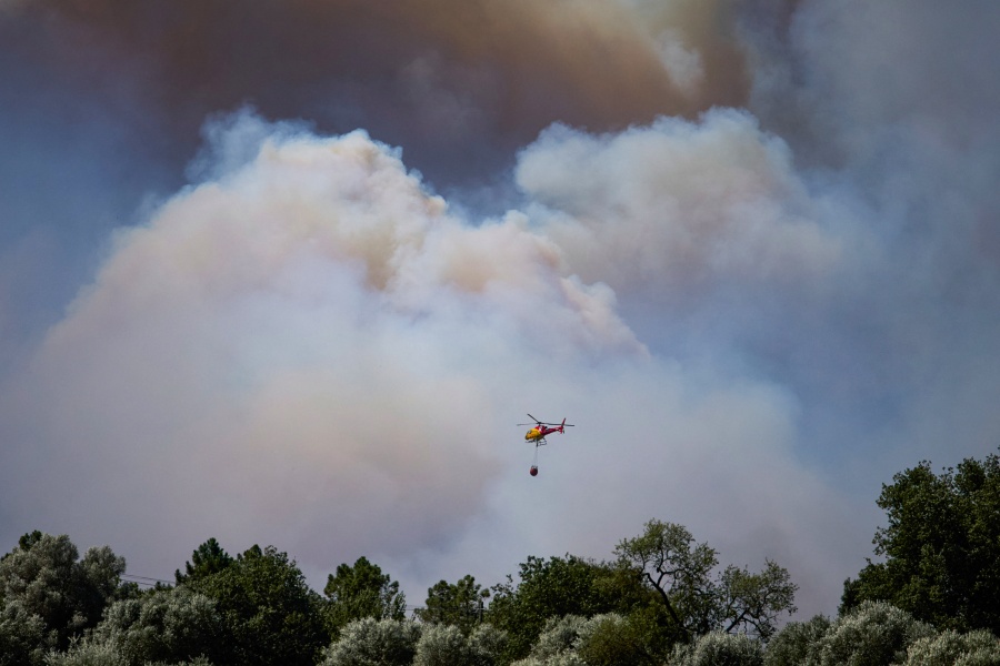 Al menos 12 muertos en incendio forestal en el sur de España