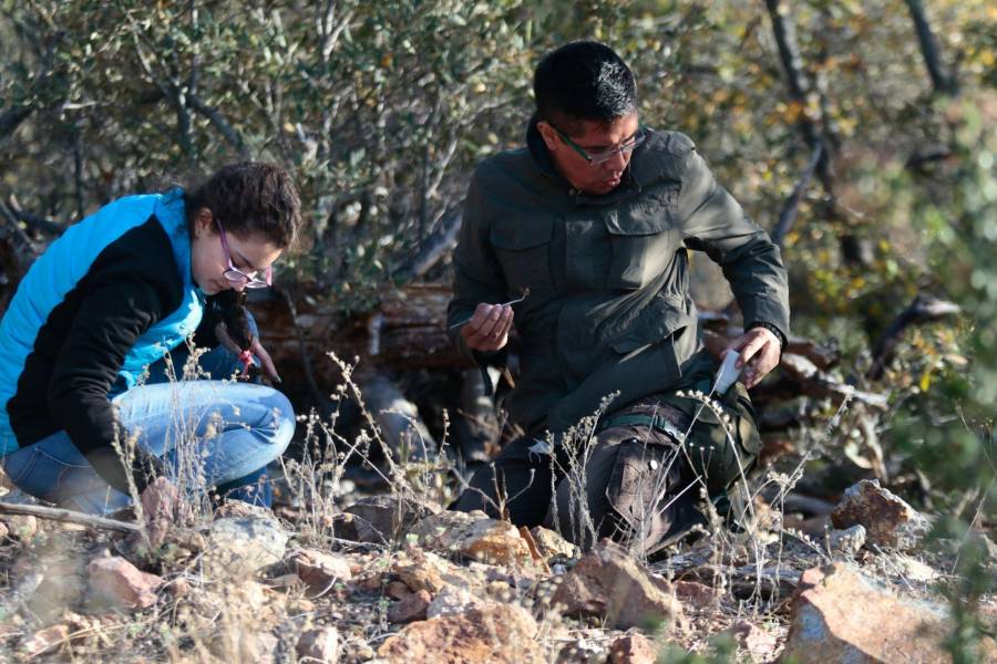Congreso de CDMX impulsa campaña para proteger fauna silvestre en temporada de lluvias