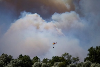 Al menos 12 muertos en incendio forestal en el sur de Espa&ntilde;a