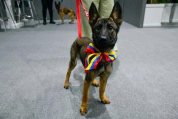 Venezuela dona ejemplares belga malinois al Ej&eacute;rcito Mexicano como s&iacute;mbolo de cooperaci&oacute;n