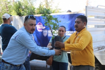 SDR entrega mil &aacute;rboles y semillas en Chihuahua por el D&iacute;a Nacional del &Aacute;rbol