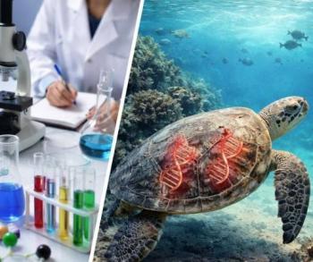 Ciencia en M&eacute;xico: estudiantes del CCH triunfan en ferias cient&iacute;ficas y se alerta sobre da&ntilde;o gen&eacute;tico en tortugas