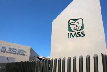 IMSS cancela registro patronal ficticio con 55 mil supuestos trabajadores