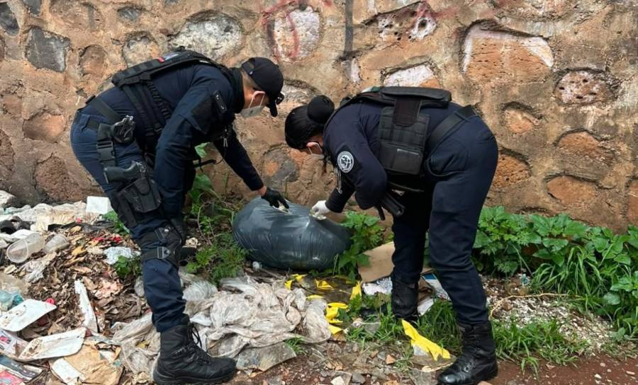 Investigan hallazgo de 25 cadáveres de perros y gatos en El Salto