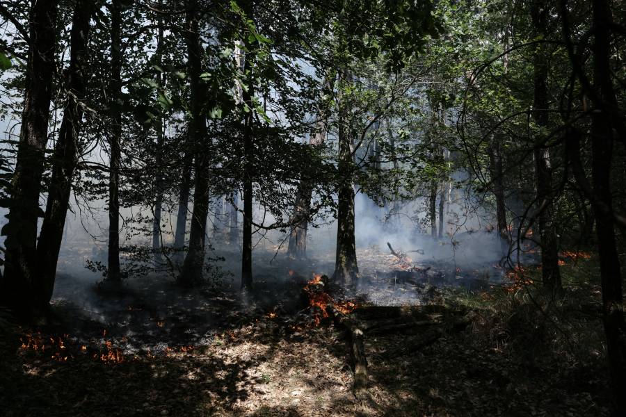 Un incendio arrasa el bosque de Fontainebleau, cerca de París