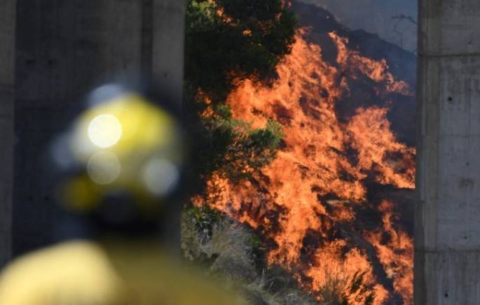 Incendio en Almería deja 12 personas muertas y 8 heridas