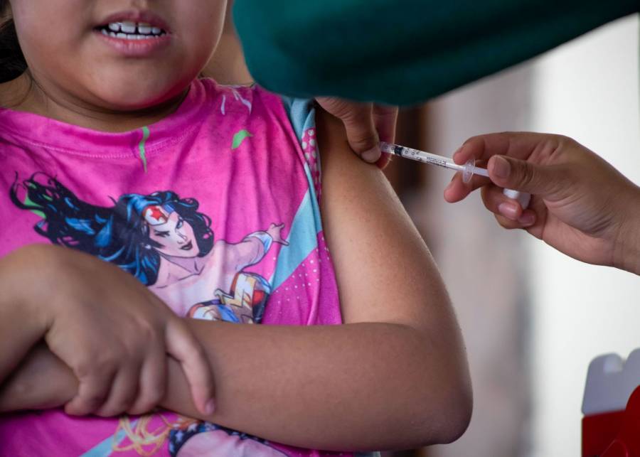 Vacunólogos piden incluir vacuna contra el dengue en programa universal de México