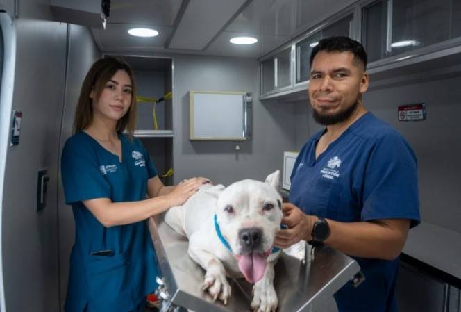 El Marqu&eacute;s suma 7,181 servicios veterinarios gratuitos en 2026