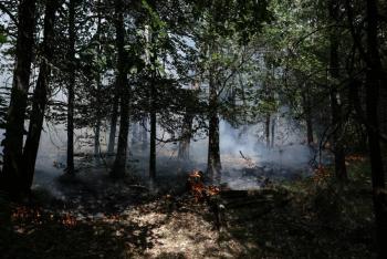 Un incendio arrasa el bosque de Fontainebleau, cerca de Par&iacute;s