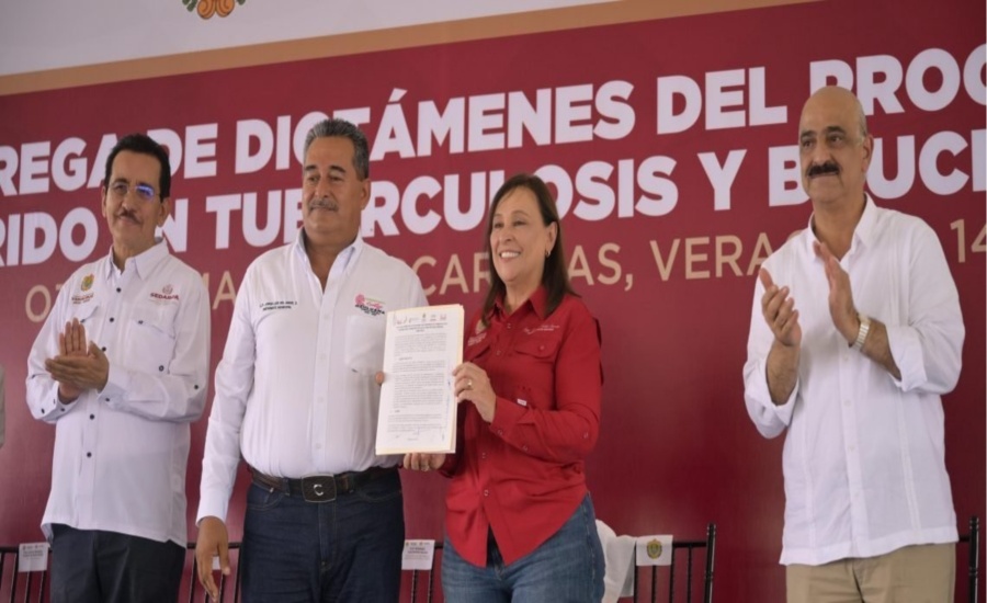 Gobernadora Rocío Nahle busca certificación Zona A para todo Veracruz con barrido sanitario histórico