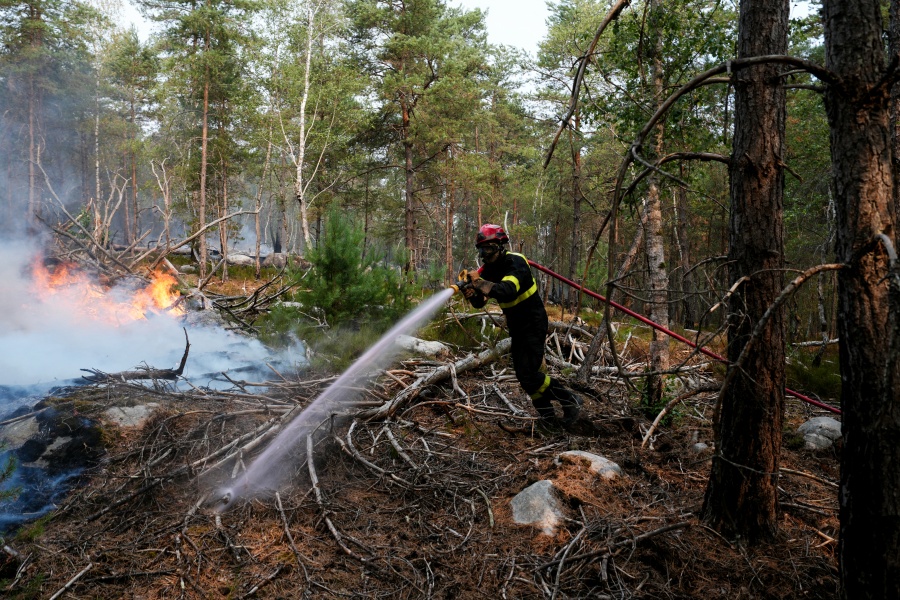 Prisión preventiva para sospechoso de incendio en histórico bosque cerca de París