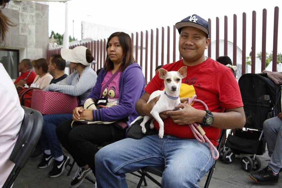 Programa “Adopta, no compres” logra que 100 perros y gatos encuentren nuevo hogar en Nezahualcóyotl