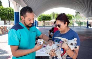 Supera Municipio de Quer&eacute;taro las 16 mil esterilizaciones gratuitas de mascotas