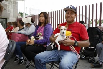 Programa “Adopta, no compres” logra que 100 perros y gatos encuentren nuevo hogar en Nezahualc&oacute;yotl